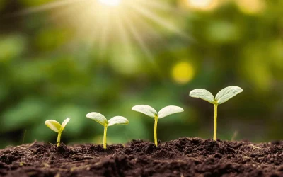 Tout savoir sur le Quiz de la Journée de la Terre de Google