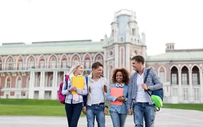 Quelles études après un BTS MCO ? Formations et débouchés