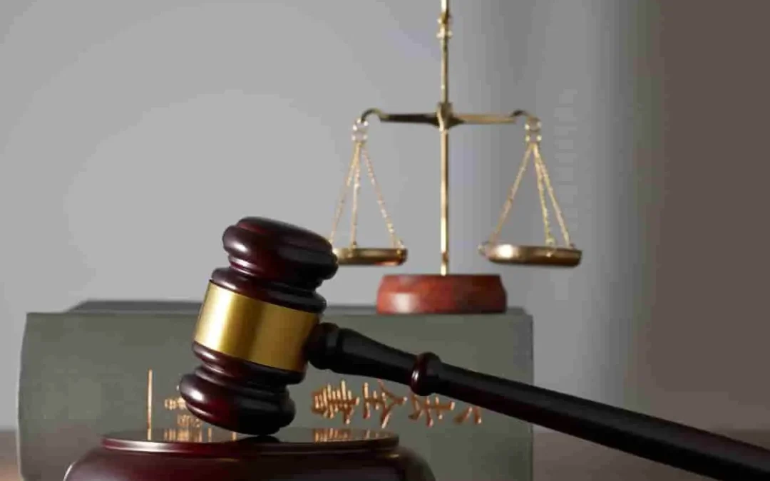 Que faire après une licence de droit ?