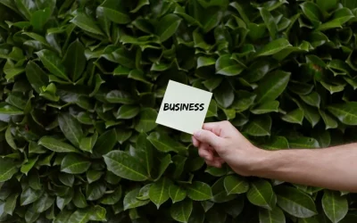 Green IT : définition, enjeux et bonnes pratiques pour un numérique responsable